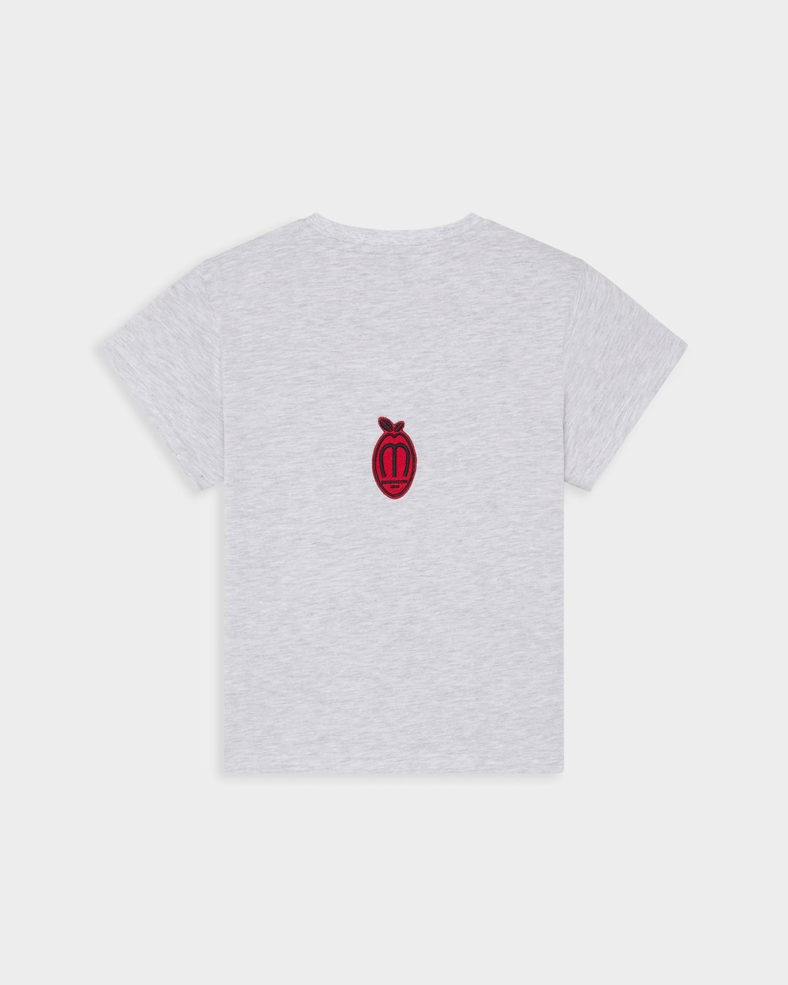 PEACH GREY SLIM CROP TEE - CAMISETAS - Morrison Shoes