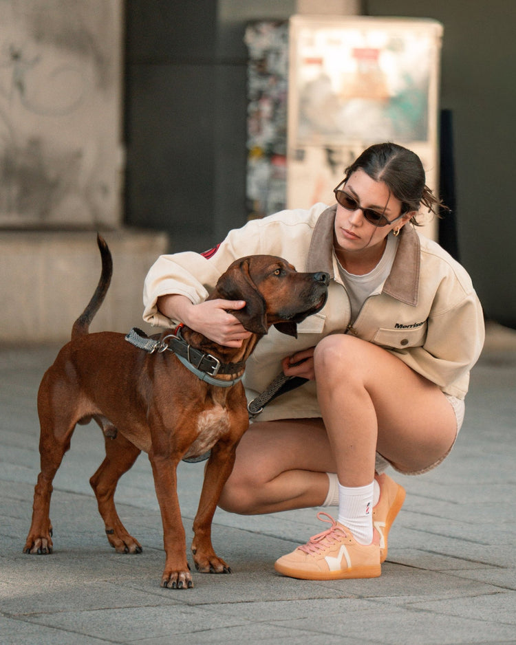 Peach - ZAPATILLAS - Morrison Shoes